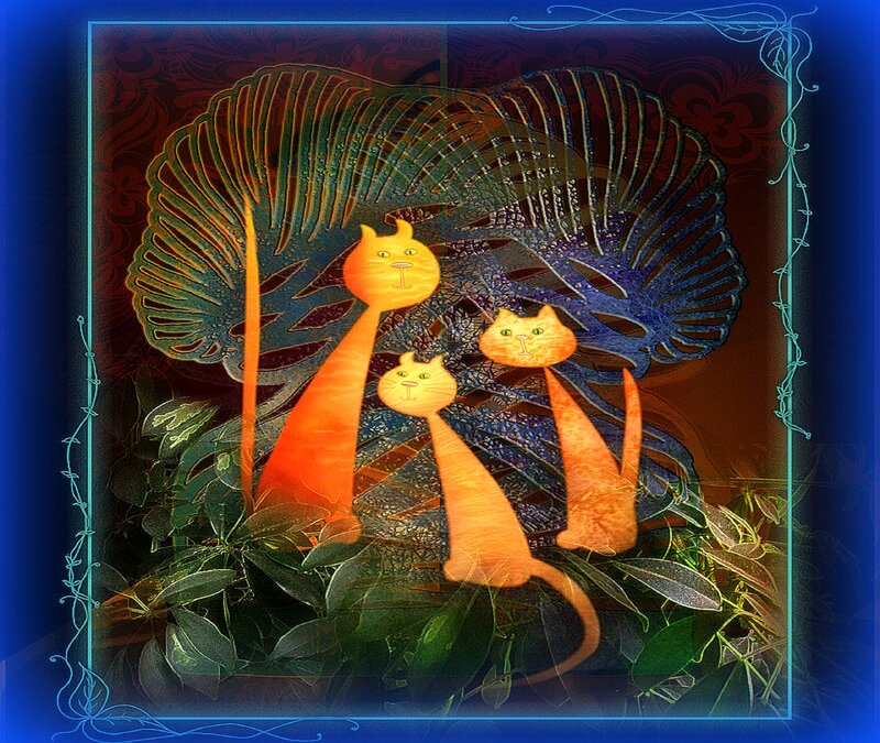 Three Orange Cats — Dreamy