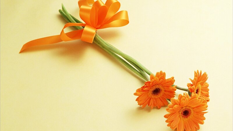 Three Orange Gerbera Daisies — Calm, Photograph, Orange Ribbon