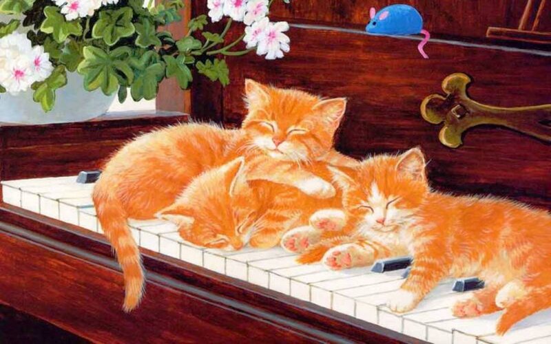 Three Orange Kittens — Peaceful, Painting