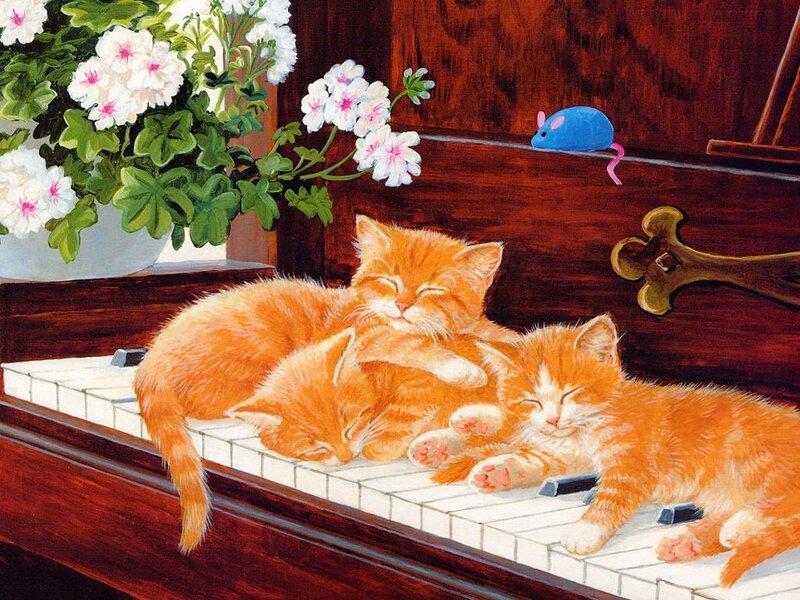 Three Orange Kittens — Peaceful
