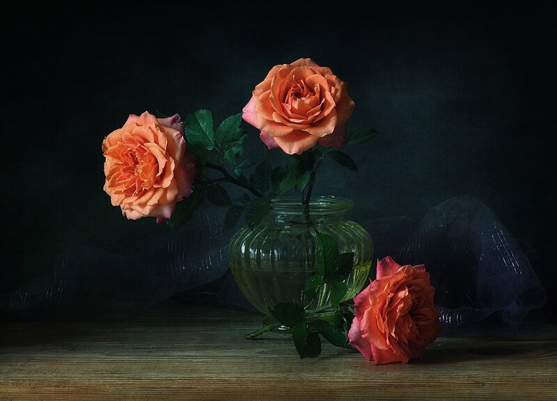Three Orange Roses — Dramatic, Photograph, Vase