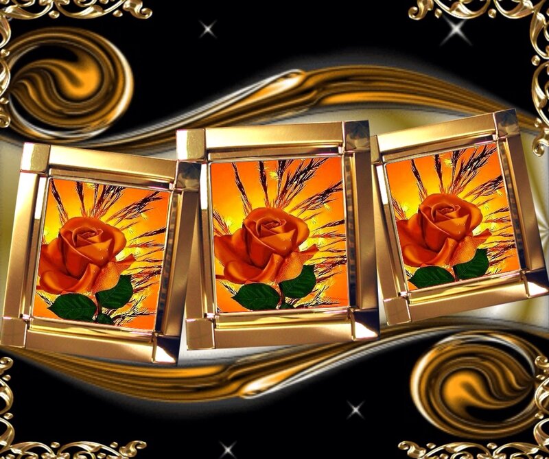 Three Orange Roses — Dramatic, Sunset
