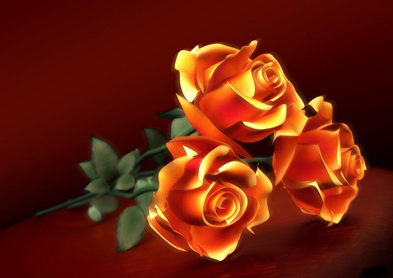 Three orange roses on red