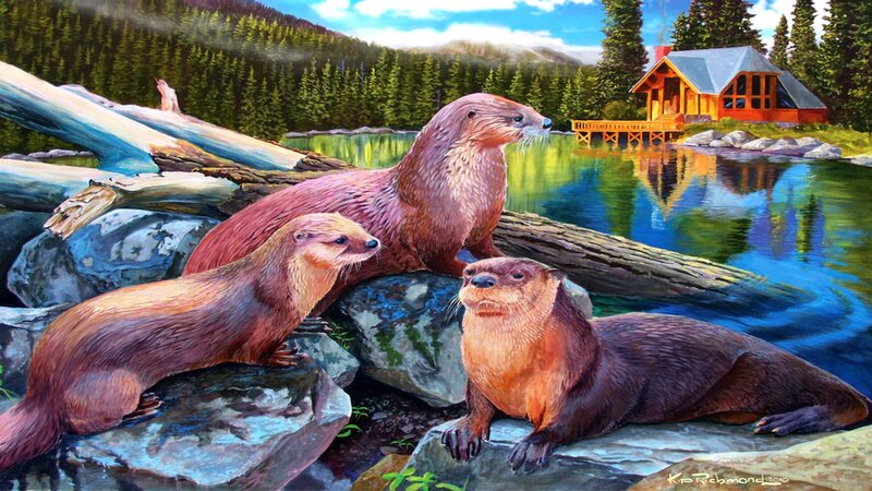 Three Otters on Rocks
