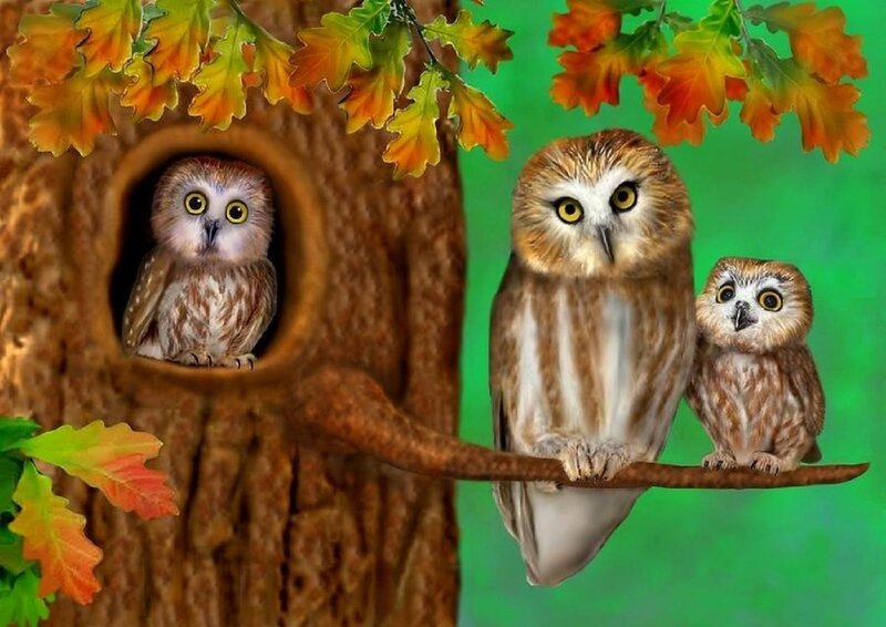 Three Owls in Tree — Brown