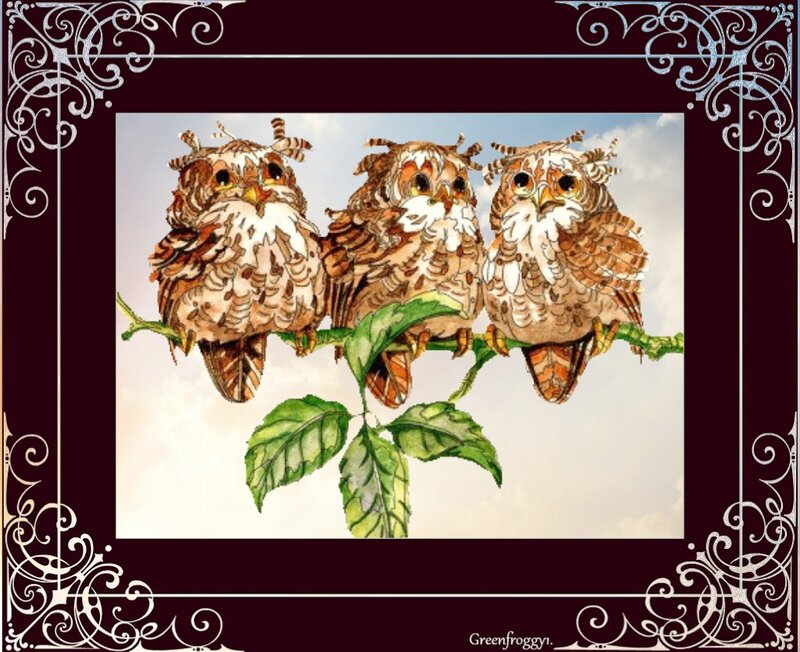 Three Owls on a Branch — Brown, Calm