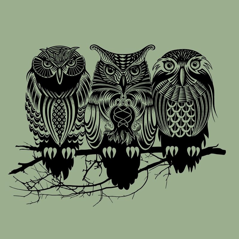 Three Owls on a Branch — Green, Calm, Illustration, Black