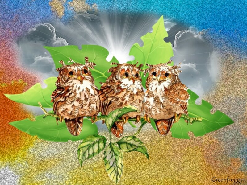 Three Owls on a Branch — Green, Dramatic