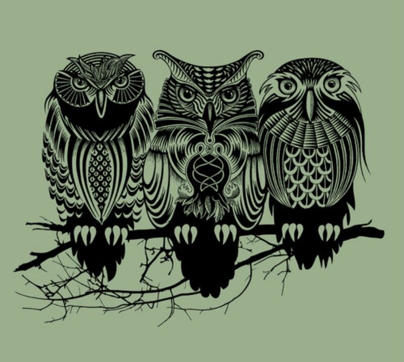 Three Owls on a Branch — Green