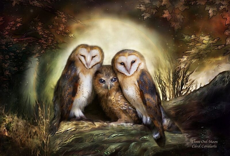 Three Owls on a Log — Brown, Serene
