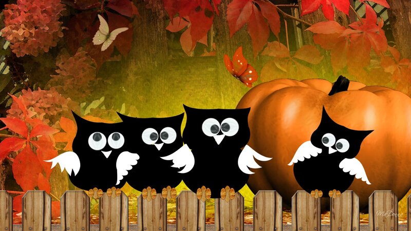 Three Owls on Fence