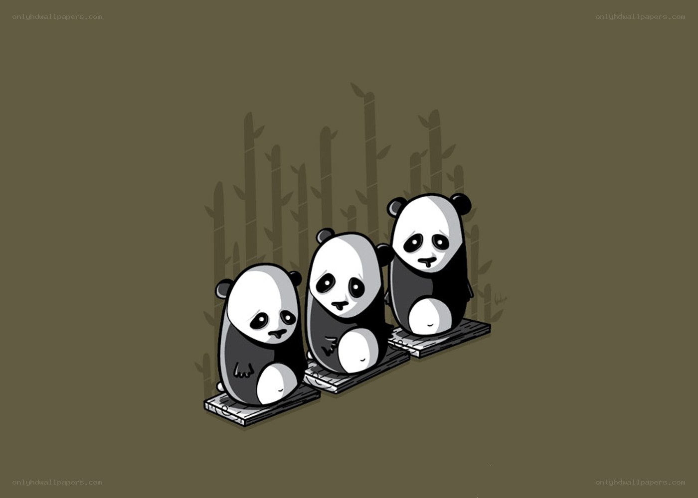 Three pandas in bamboo forest