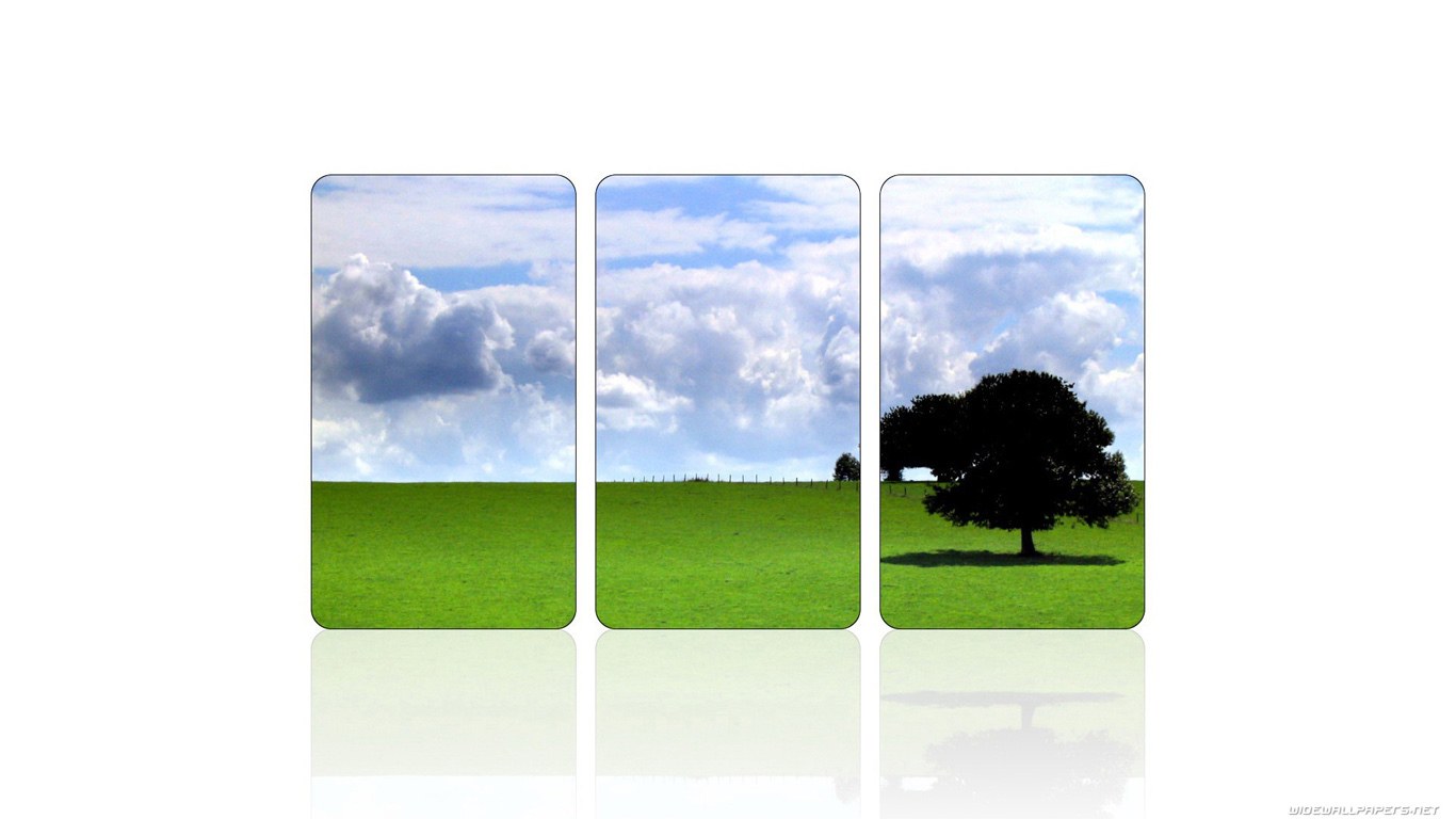 Three-panel landscape with tree