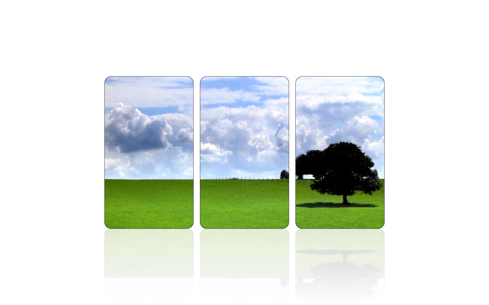 Three-panel landscape with tree