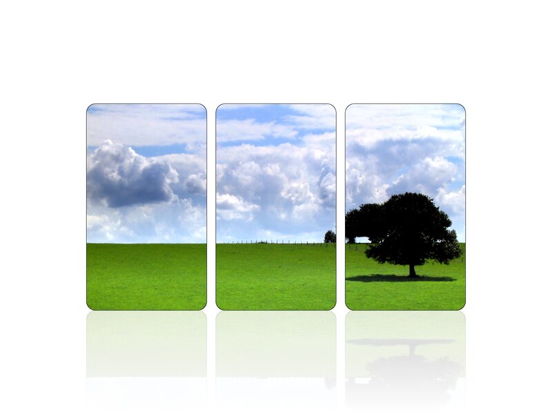Three-panel landscape with tree