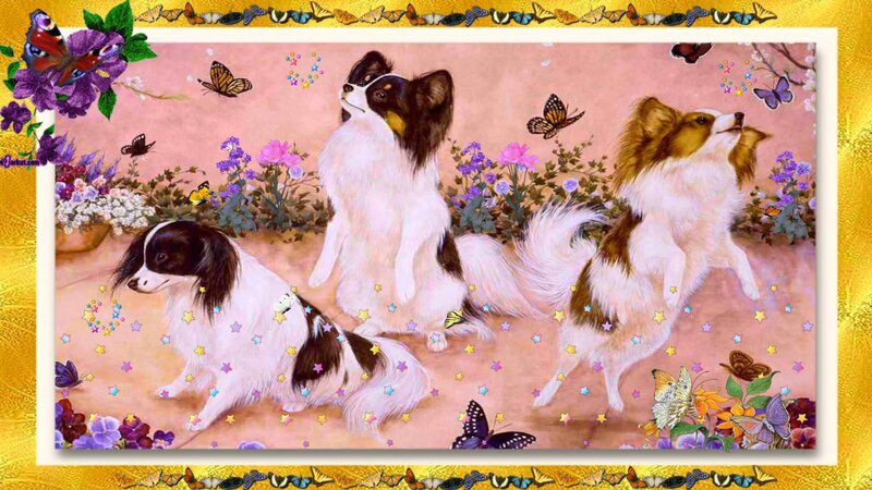Three Papillon Dogs