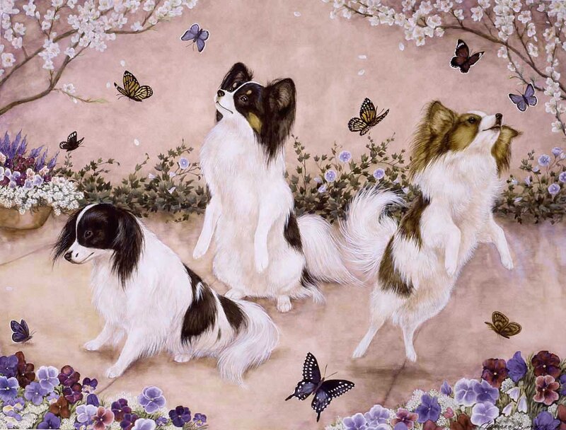 Three Papillon Dogs — White