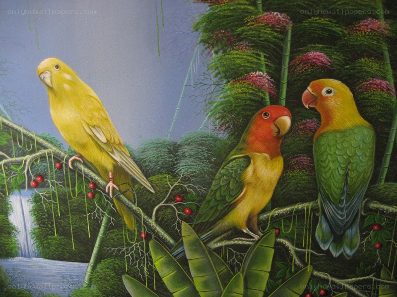 Three parrots in a jungle scene