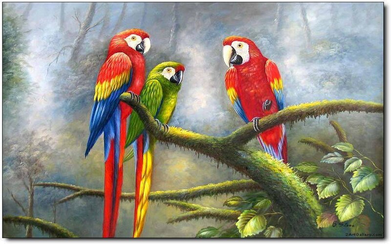Three Parrots on Branch — Red, Serene