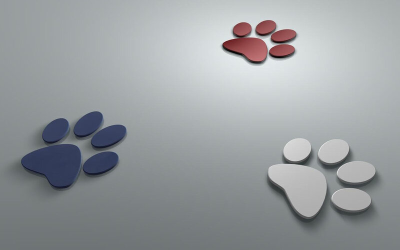 Three Paw Prints