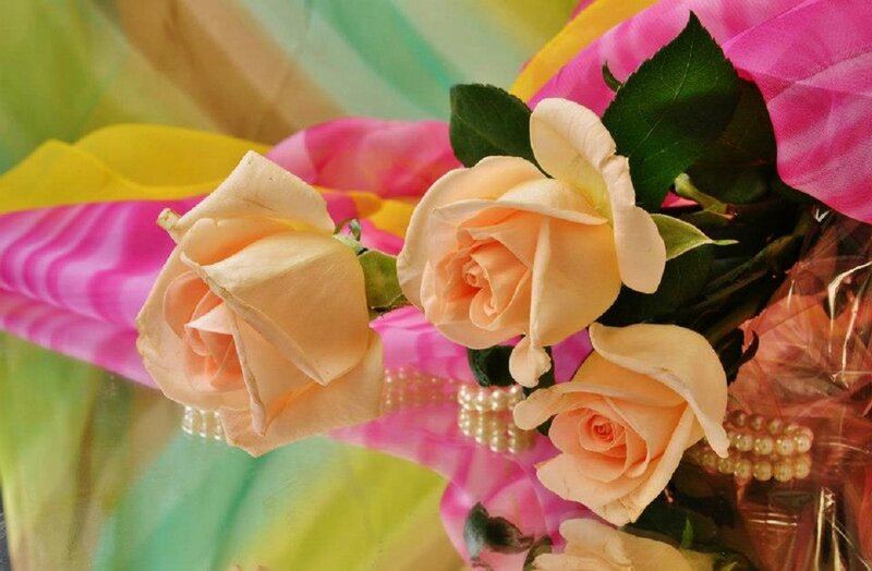 Three Peach Roses — Pink