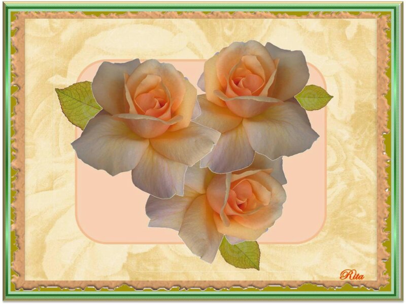 Three Peach Roses — Serene, Digital Art
