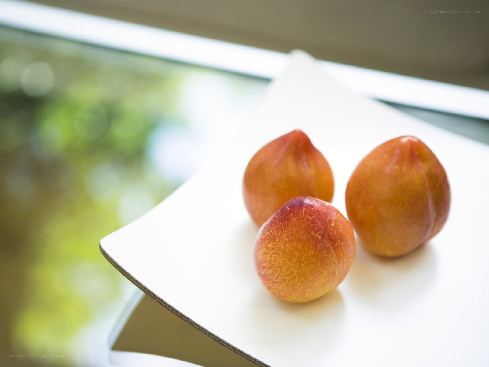 Three peaches on a white plate
