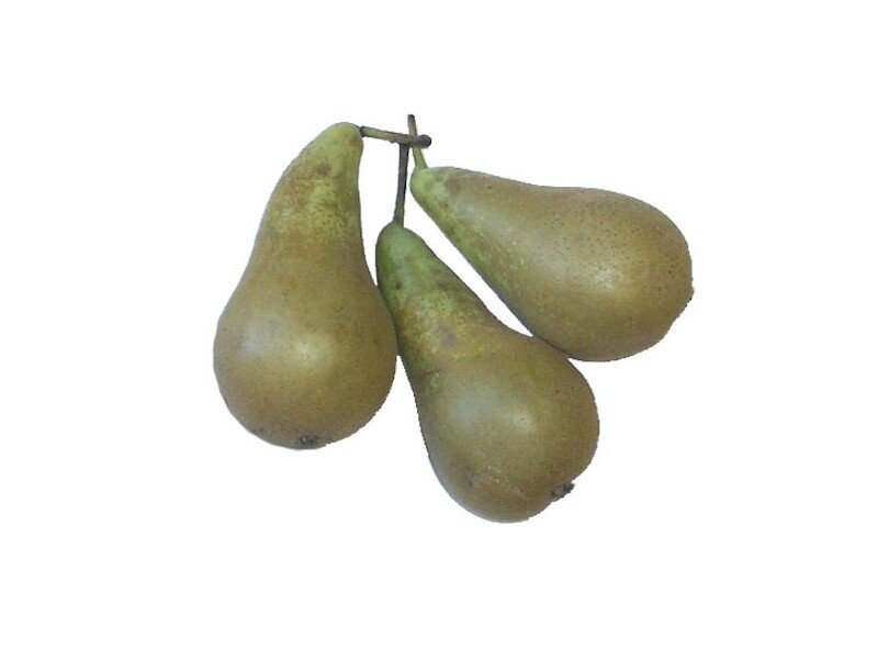 three pears on a stem
