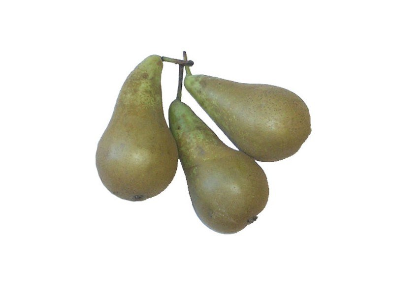 three pears on a stem