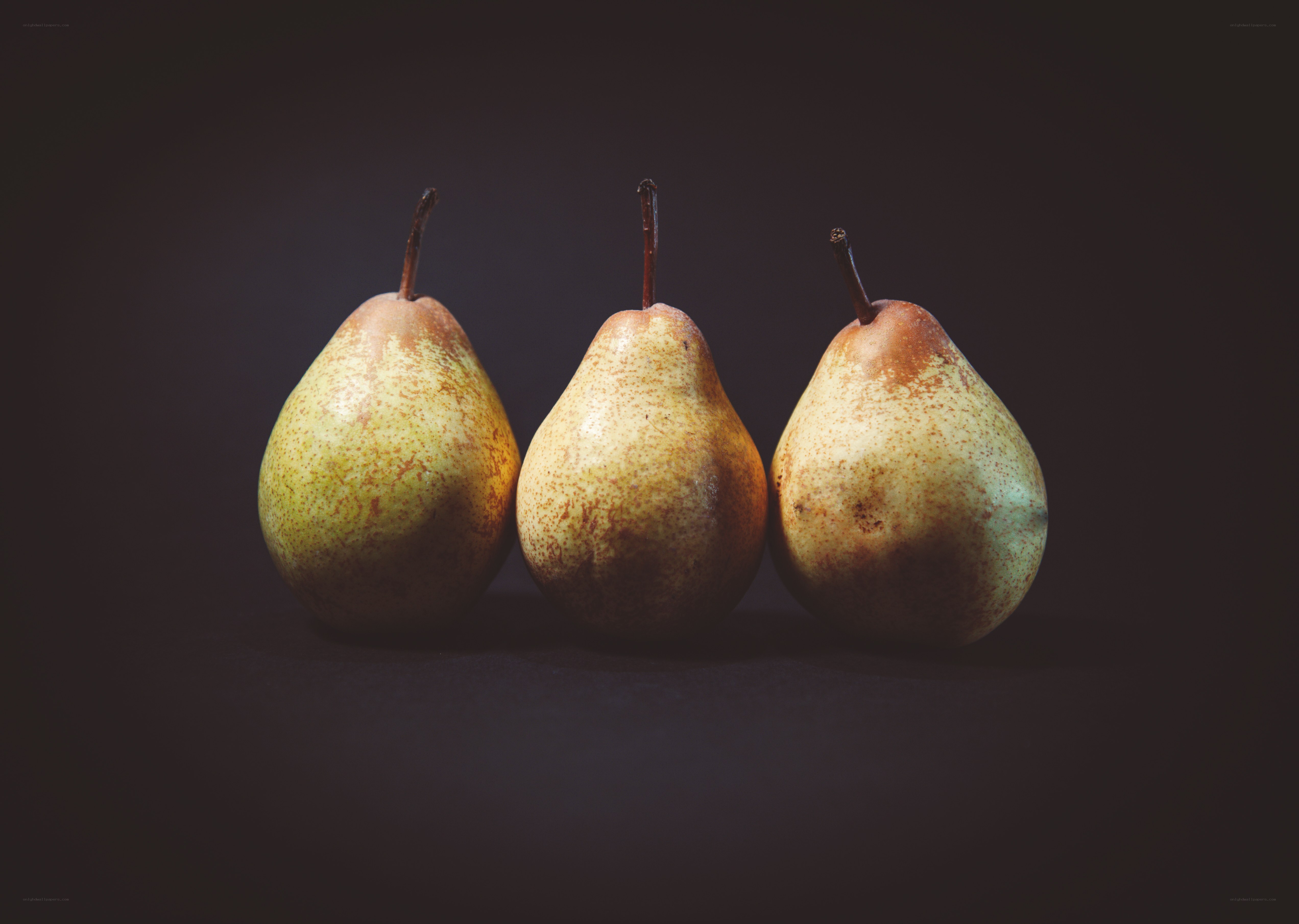 Three pears on dark background