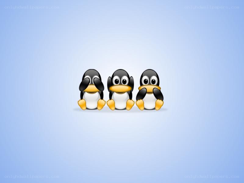 three penguins in a row