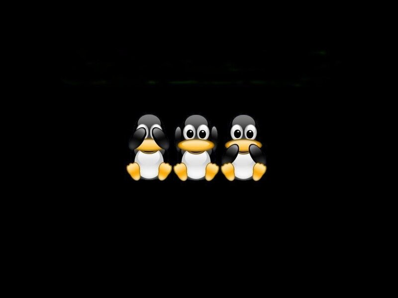 three penguins in a row