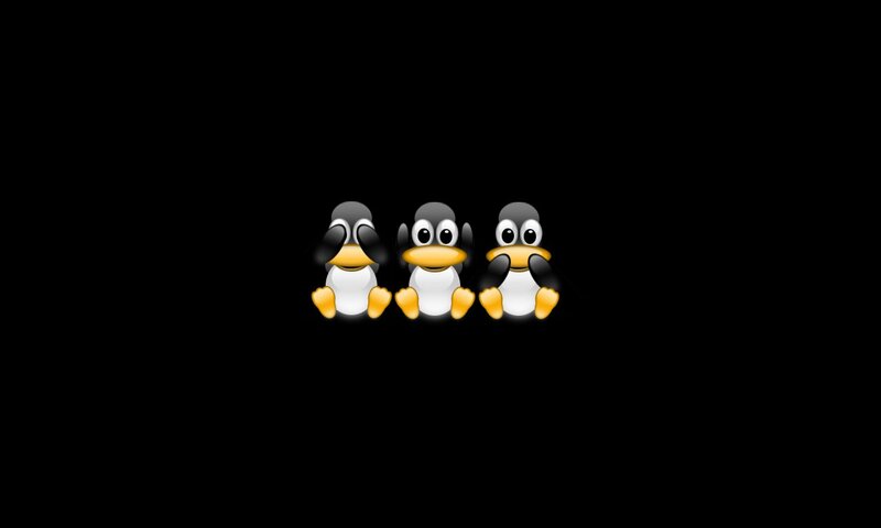 three penguins in a row