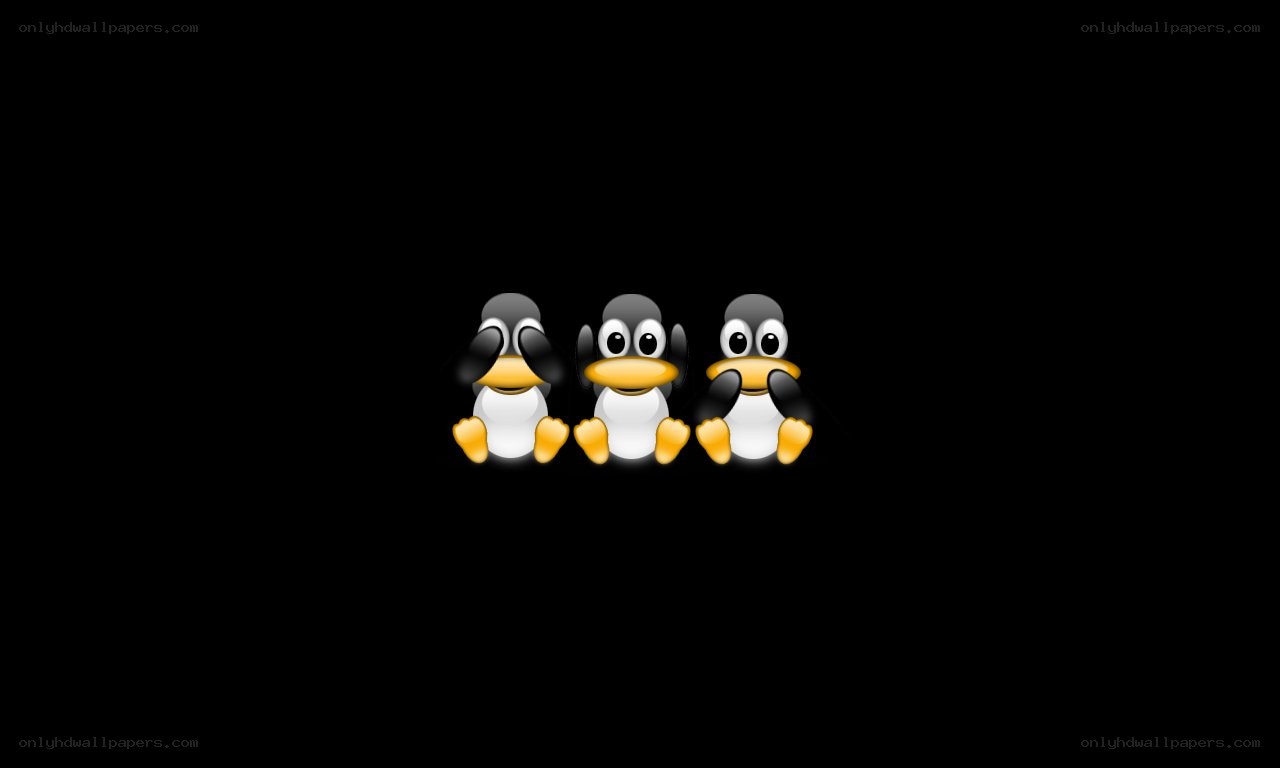 three penguins in a row