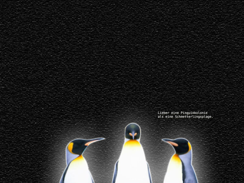 Three Penguins in Dark