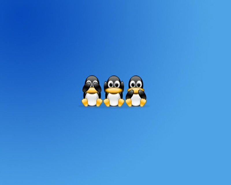 Three penguins on blue background