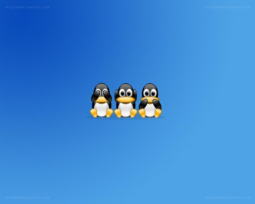 Three penguins on blue background