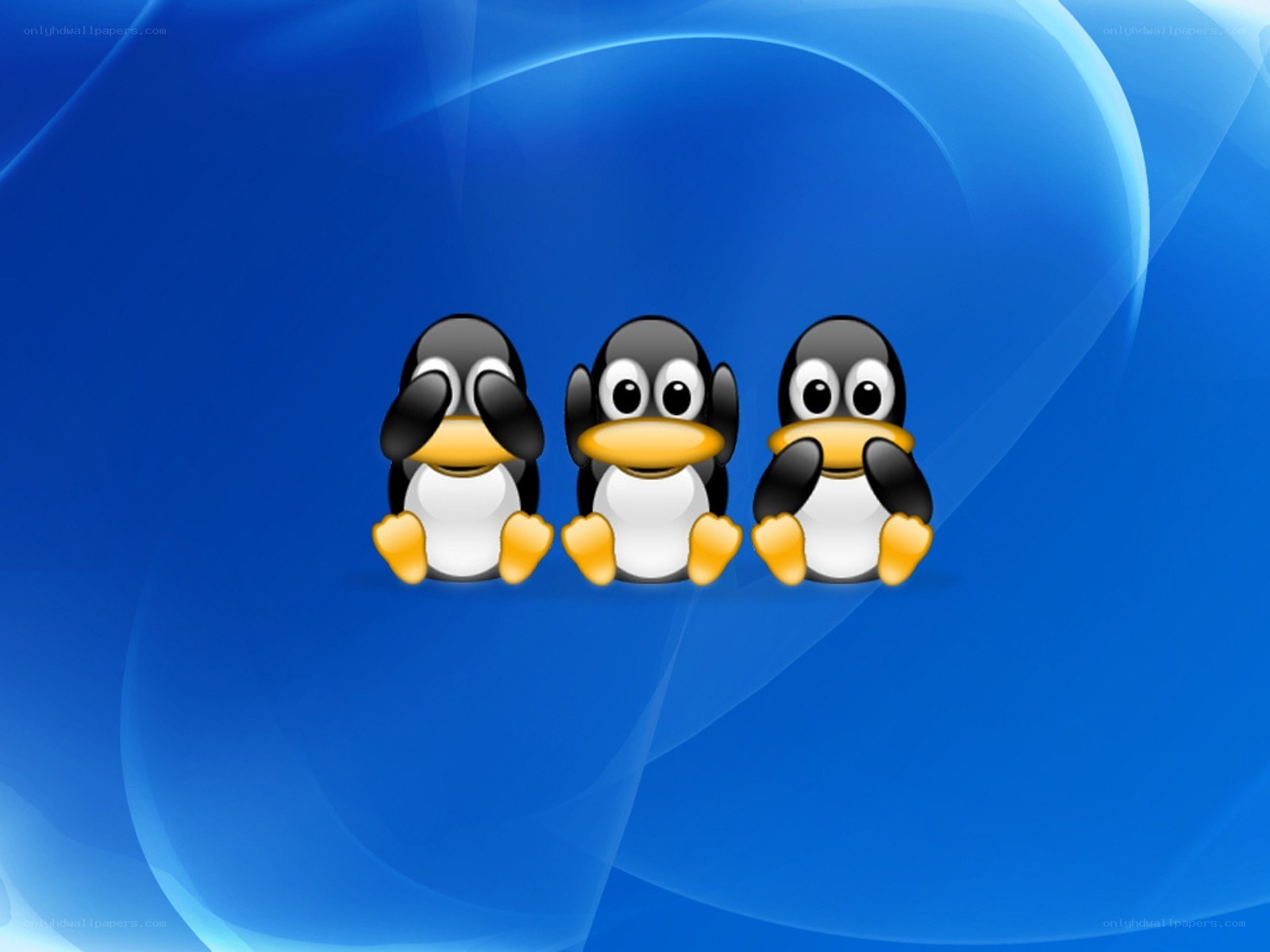 Three penguins on blue background
