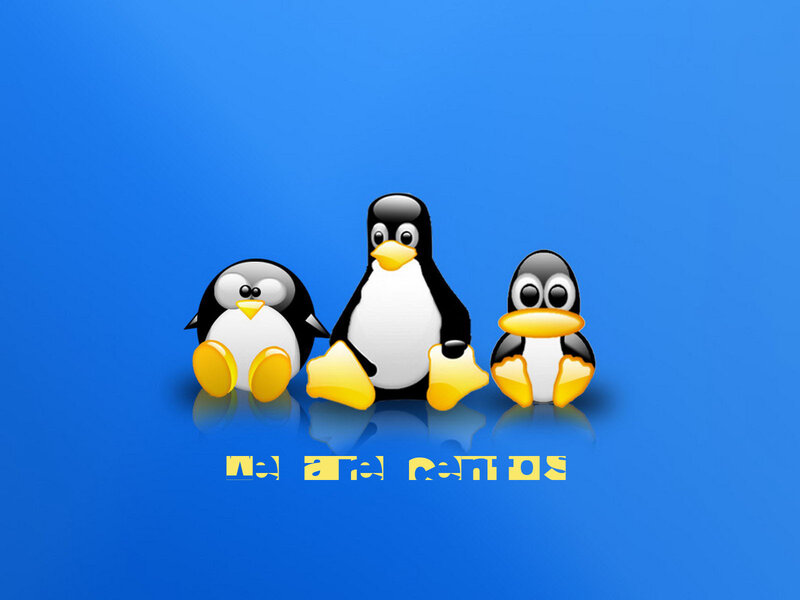 Three Penguins on Blue