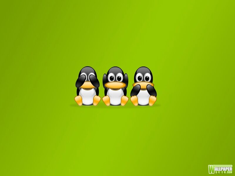 Three Penguins Sitting