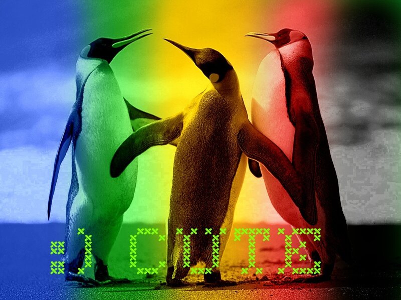 Three Penguins Standing