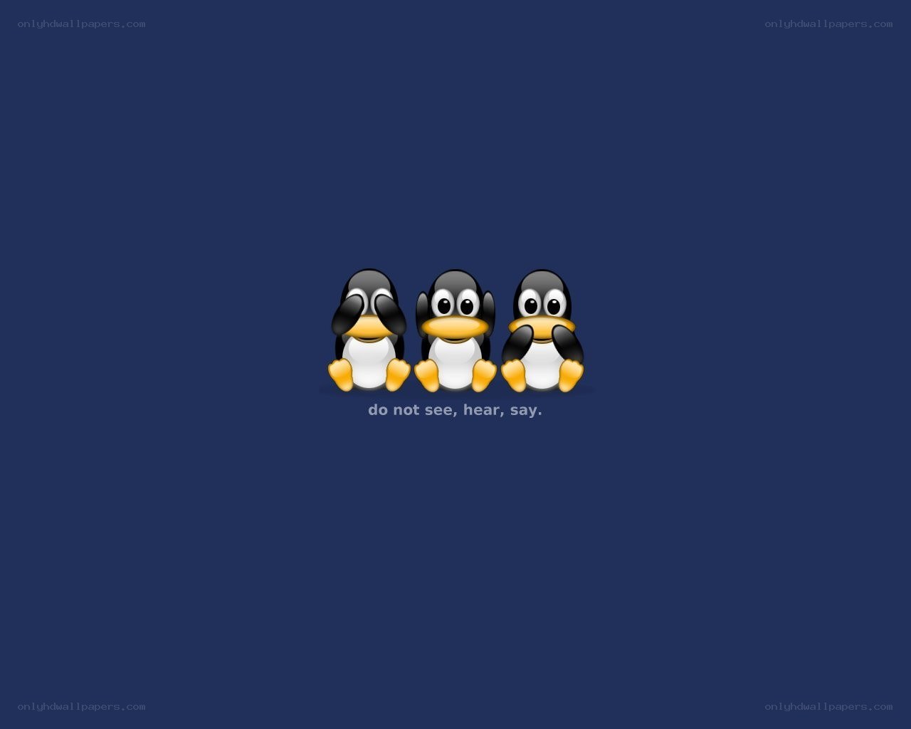 three penguins with a saying