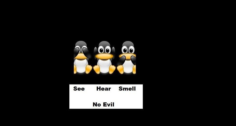 three penguins with see hear smell no evil