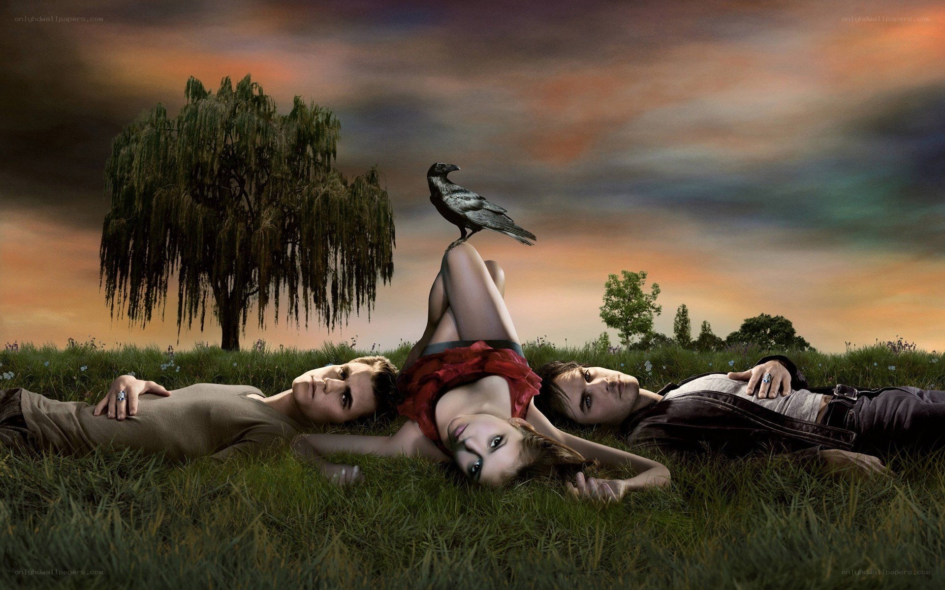 Three people in a field at sunset