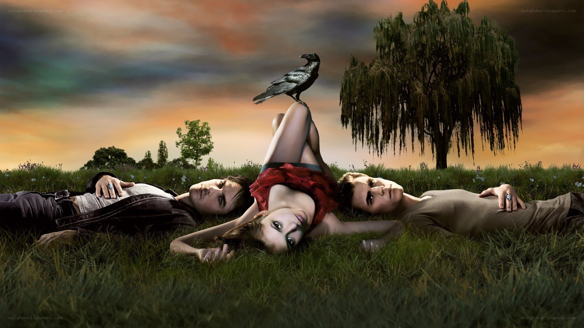 three people in a field at sunset