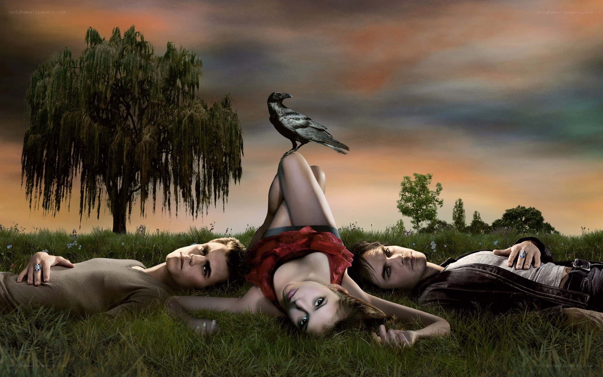 three people lying in a field