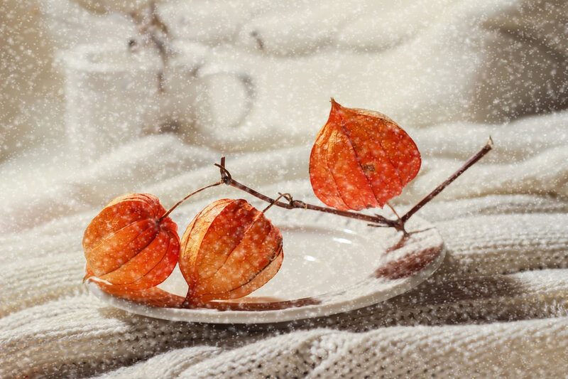 Three Physalis Fruits — Orange, Calm