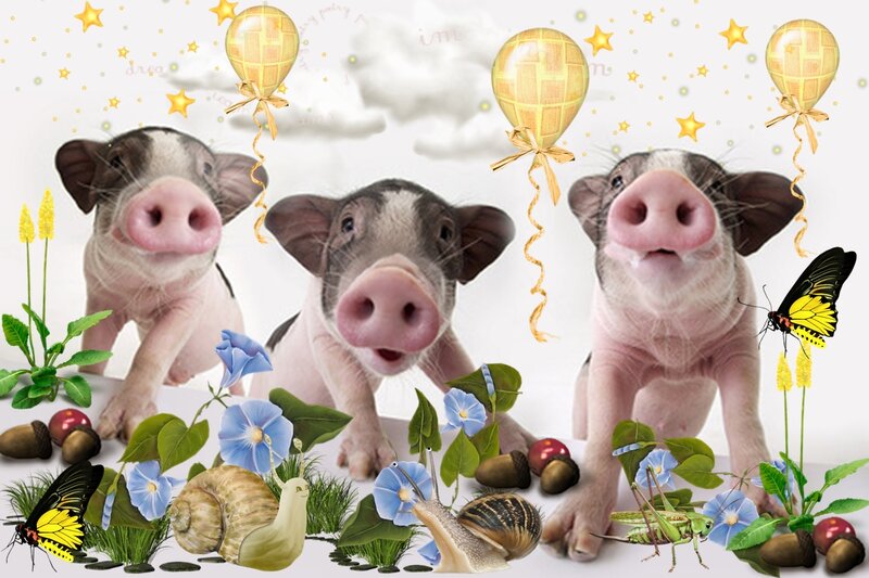Three Piglets in Garden