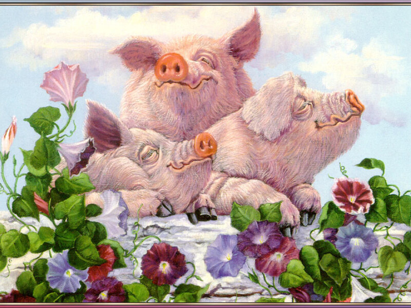 Three Pigs in Flowers