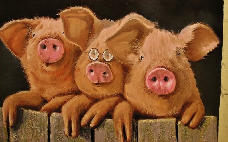Three Pigs on Fence